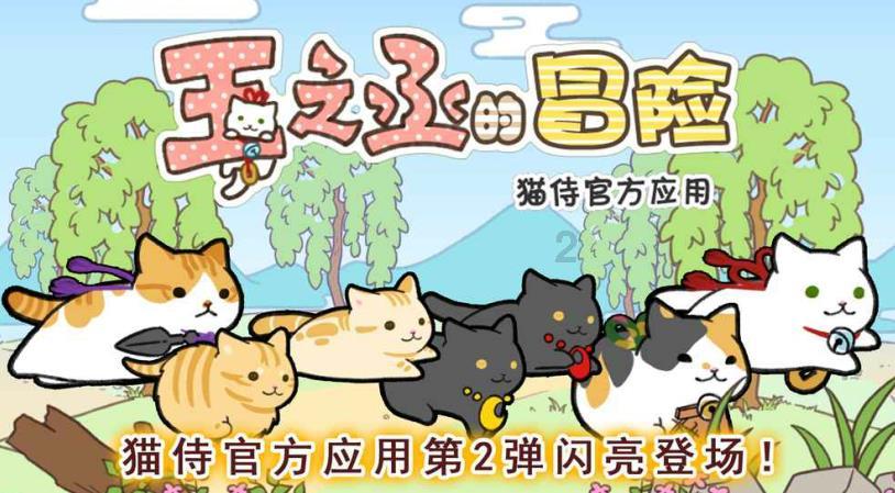 疯狂的小猫